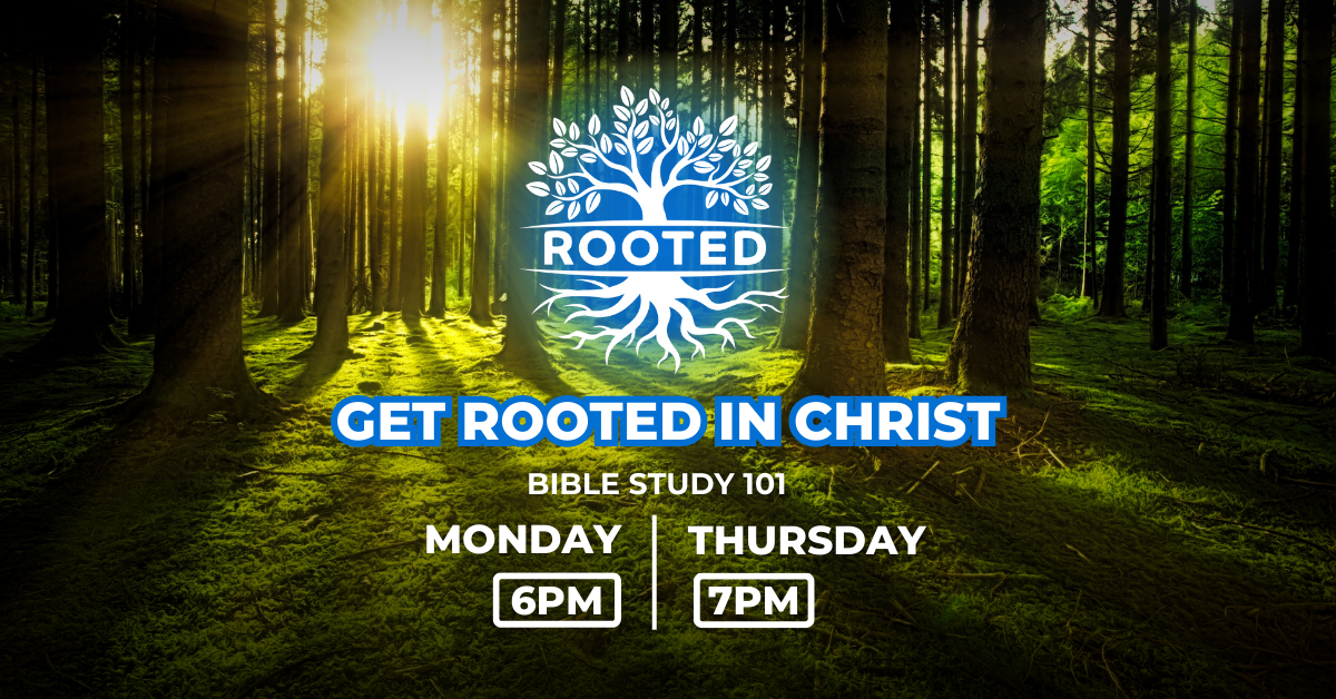 Rooted Course - Get Rooted in Christ