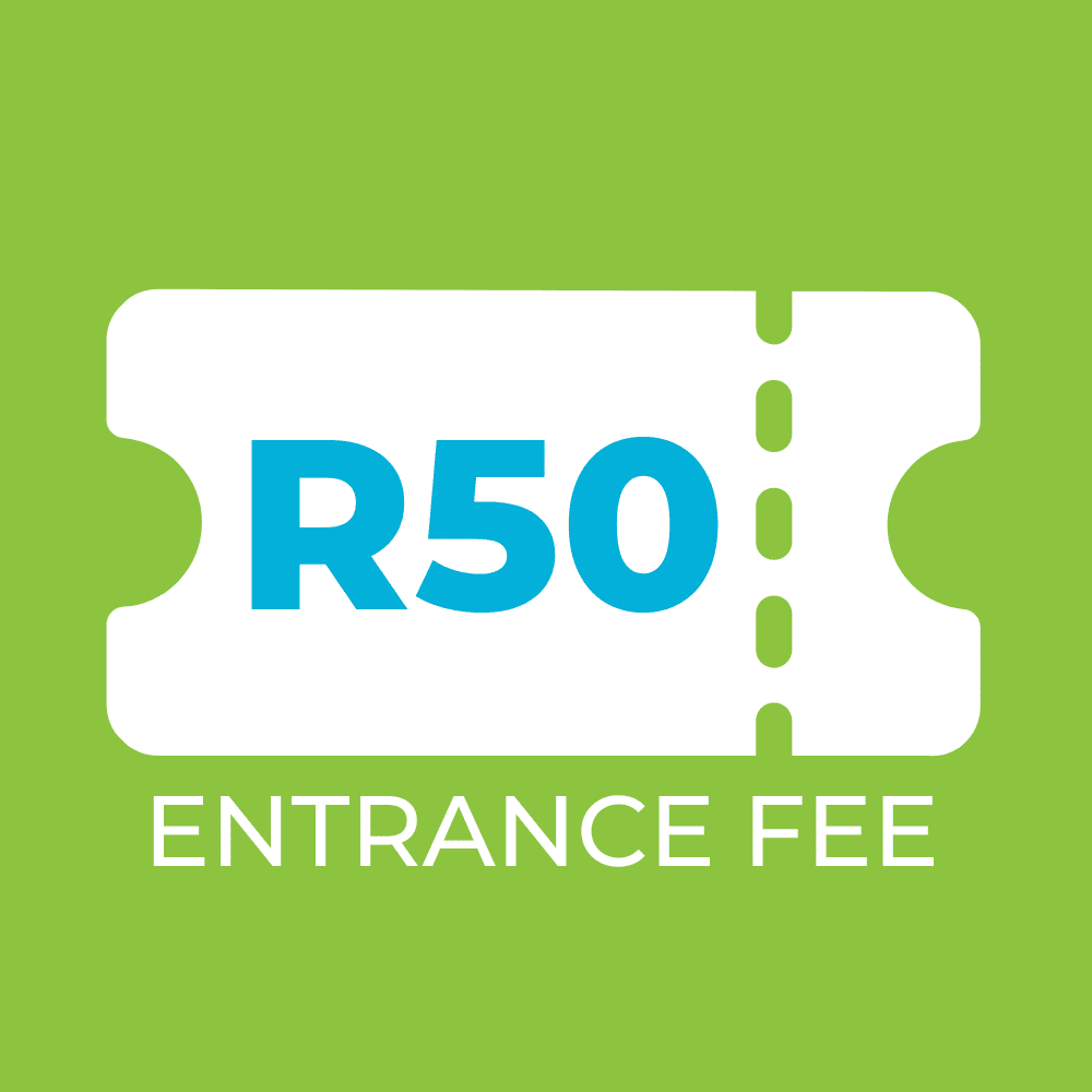 R50 ticket