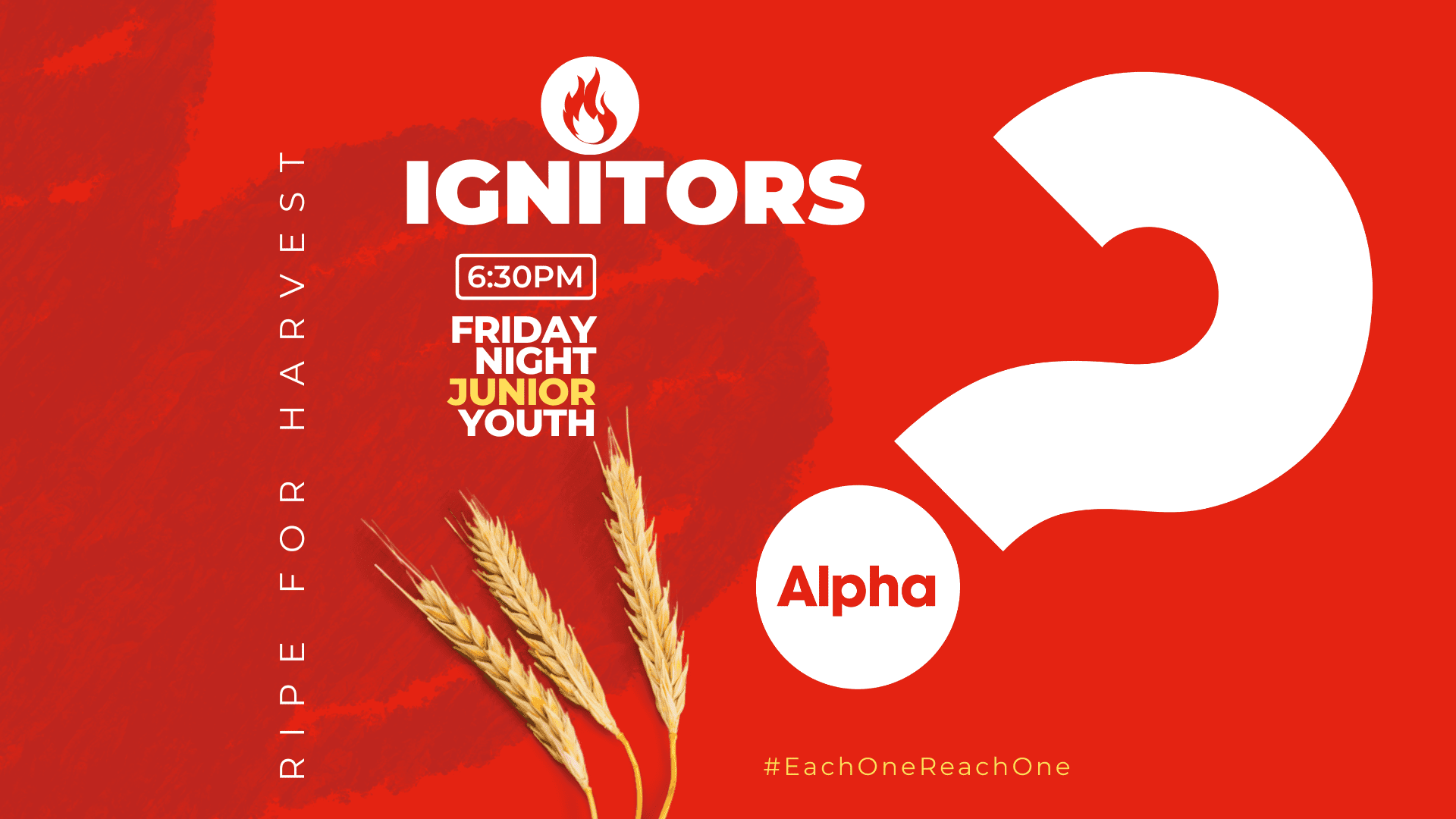 Junior Youth Group Alpha Course | Ignitors