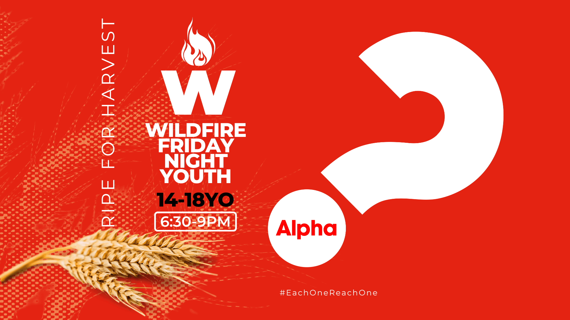 Friday Night Youth Alpha Course | Wildfire 14-18YO
